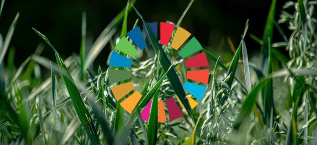 Climate action.png Climate action.png